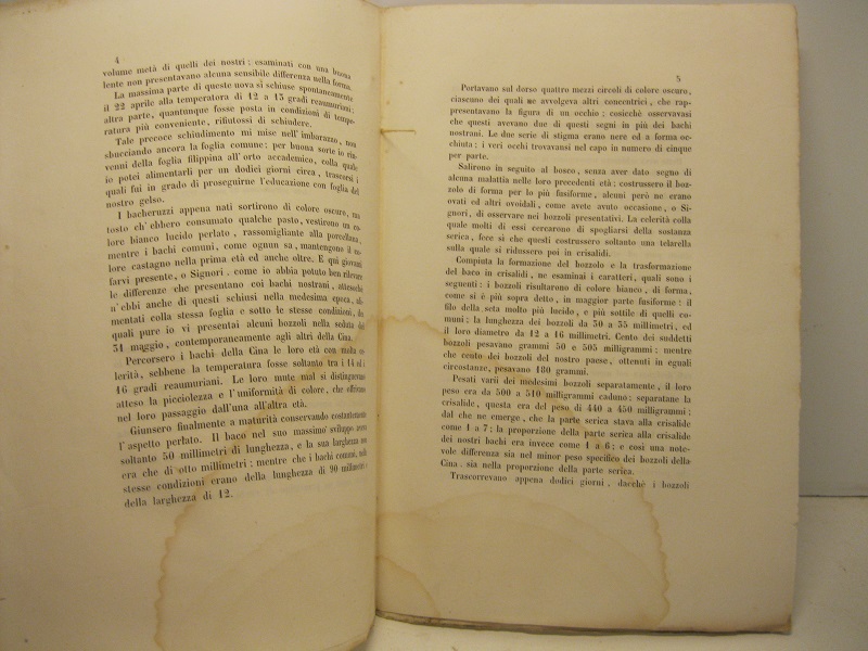 Rapporto sulla educazione di bachi da seta di uova provenienti dalla Cina (letto nell'adunanza 22 maggio 1852)